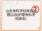 山东专科学校排名护理(山东护理专科学校排名)