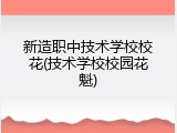 新造职中技术学校校花(技术学校校园花魁)