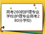 高考280的护理专业学校(护理专业高考280分学校)