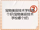 宠物美容技术学校那个好(宠物美容技术学校哪个好)