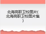 北海高职卫校图片(北海高职卫校图片集)