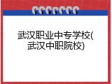 武汉职业中专学校(武汉中职院校)