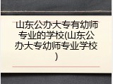 山东公办大专有幼师专业的学校(山东公办大专幼师专业学校)