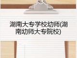 湖南大专学校幼师(湖南幼师大专院校)