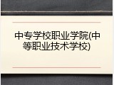 中专学校职业学院(中等职业技术学校)