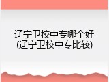 辽宁卫校中专哪个好(辽宁卫校中专比较)