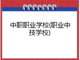 中职职业学校(职业中技学校)