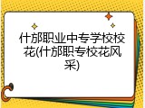 什邡职业中专学校校花(什邡职专校花风采)