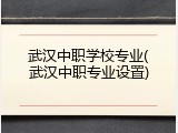 武汉中职学校专业(武汉中职专业设置)