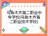 乌鲁木齐第二职业中专学校(乌鲁木齐第二职业技术学校)