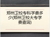 郑州卫校专科学费多少(郑州卫校大专学费查询)