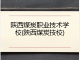 陕西煤炭职业技术学校(陕西煤炭技校)