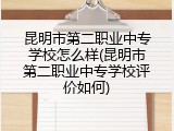昆明市第二职业中专学校怎么样(昆明市第二职业中专学校评价如何)