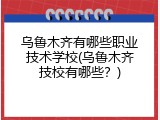 乌鲁木齐有哪些职业技术学校(乌鲁木齐技校有哪些？)