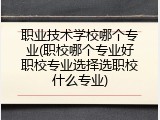 职业技术学校哪个专业(职校哪个专业好职校专业选择选职校什么专业)