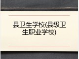 县卫生学校(县级卫生职业学校)