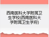 西南医科大学附属卫生学校(西南医科大学附属卫生学府)