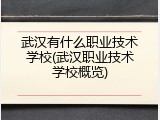 武汉有什么职业技术学校(武汉职业技术学校概览)
