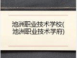 池洲职业技术学校(池洲职业技术学府)