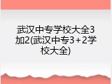 武汉中专学校大全3加2(武汉中专3+2学校大全)
