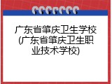 广东省肇庆卫生学校(广东省肇庆卫生职业技术学校)