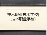 技术职业技术学校(技术职业学校)