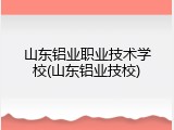 山东铝业职业技术学校(山东铝业技校)