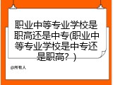 职业中等专业学校是职高还是中专(职业中等专业学校是中专还是职高？)