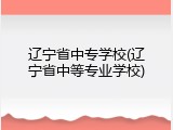 辽宁省中专学校(辽宁省中等专业学校)