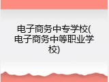 电子商务中专学校(电子商务中等职业学校)