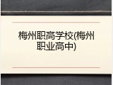 梅州职高学校(梅州职业高中)