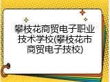 攀枝花商贸电子职业技术学校(攀枝花市商贸电子技校)