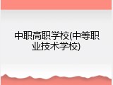 中职高职学校(中等职业技术学校)