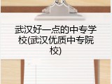 武汉好一点的中专学校(武汉优质中专院校)