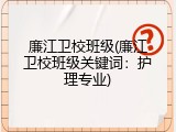 廉江卫校班级(廉江卫校班级关键词：护理专业)