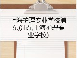 上海护理专业学校浦东(浦东上海护理专业学校)