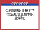合肥信息职业技术学校(合肥信息技术职业学院)