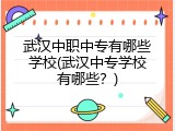 武汉中职中专有哪些学校(武汉中专学校有哪些？)