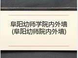 阜阳幼师学院内外墙(阜阳幼师院内外墙)