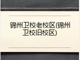 锦州卫校老校区(锦州卫校旧校区)