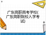 广东高职高考学校(广东高职院校入学考试)