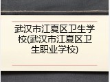 武汉市江夏区卫生学校(武汉市江夏区卫生职业学校)