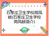 石家庄卫生学校高凤岐(石家庄卫生学校高凤岐简介)