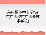 东庄职业中专学校(东庄职校东庄职业技术学校)