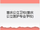 重庆公立卫校(重庆公立医护专业学校)