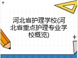 河北省护理学校(河北省重点护理专业学校概览)