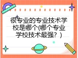 很专业的专业技术学校是哪个(哪个专业学校技术最强？)