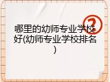 哪里的幼师专业学校好(幼师专业学校排名)