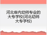 河北省内幼师专业的大专学校(河北幼师大专学校)