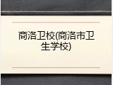 商洛卫校(商洛市卫生学校)
